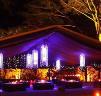 Flames Of The Forest - Accommodation Gold Coast
