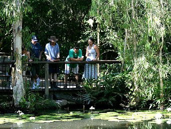 Hartley's Crocodile Adventures - Accommodation Gold Coast 2