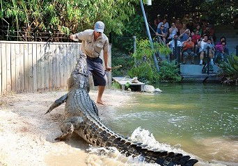 Hartley's Crocodile Adventures - Accommodation Gold Coast 4