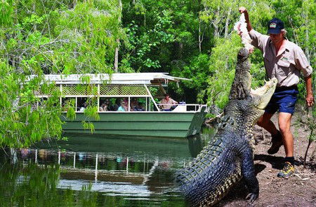 Hartley's Crocodile Adventures - Accommodation Gold Coast 6