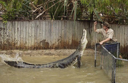 Hartley's Crocodile Adventures - Accommodation Gold Coast 8