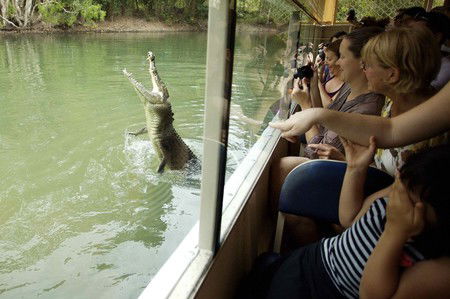 Hartley's Crocodile Adventures - Accommodation Gold Coast 9