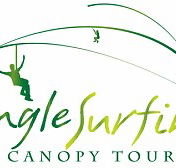 Jungle Surfing Canopy Tours and Jungle Adventures Nightwalks - Accommodation Gold Coast