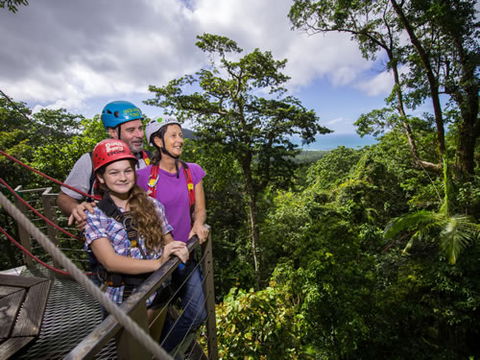 Jungle Surfing Canopy Tours And Jungle Adventures Nightwalks - Accommodation Gold Coast 1