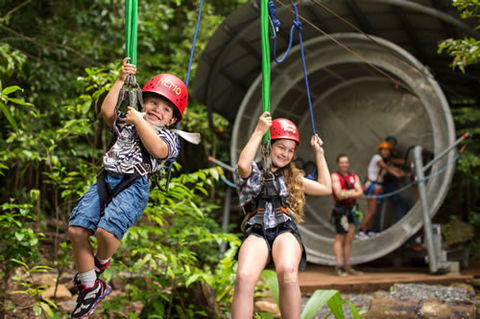 Jungle Surfing Canopy Tours And Jungle Adventures Nightwalks - Accommodation Gold Coast 2