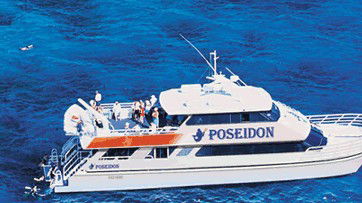 Poseidon Outer Reef Cruises - Accommodation Gold Coast 4