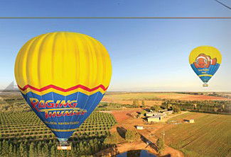 Raging Thunder Adventures - Accommodation Gold Coast 2