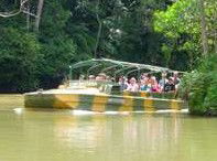 Rainforestation Nature Park - Gold Coast 4U 4