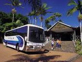 Rainforestation Nature Park - Gold Coast 4U 5