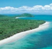 Reef and Rainforest Connections - Accommodation Gold Coast