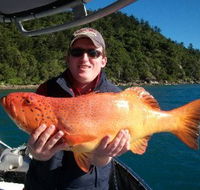 Gone Fishing by Coral Sea Fishing Charters Airlie Beach - Accommodation Gold Coast