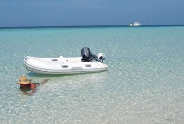 Adrenalin Snorkel And Dive - Accommodation Gold Coast 4