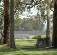 Aloomba Lavender - Accommodation Gold Coast