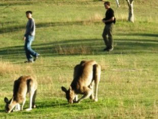 Southern Queensland Country QLD Gold Coast 4U