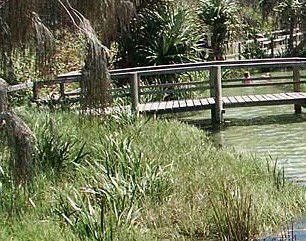 Australia Fraser Island Escape - Accommodation Gold Coast 1