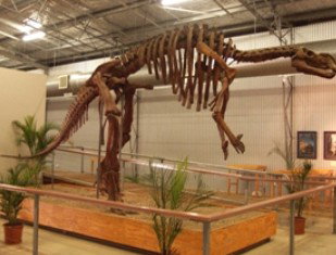 Diamantina Lakes QLD 1 Gold Coast