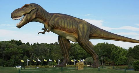 Palmersaurus Park - Accommodation Gold Coast 1