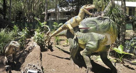 Palmersaurus Park - Accommodation Gold Coast 5