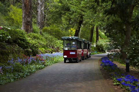 Araluen Botanic Park - Accommodation Gold Coast 0