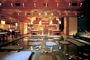 Koko - Accommodation Gold Coast 0