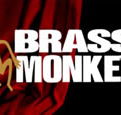 The Brass Monkey - Accommodation Gold Coast