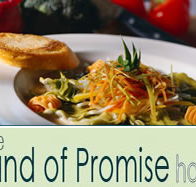 Land of Promise Hotel - Accommodation Gold Coast