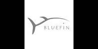 Bluefin - Accommodation Gold Coast 0