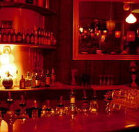 The Night Cat - Accommodation Gold Coast