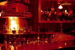 The Night Cat - Accommodation Gold Coast 0
