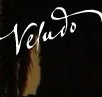 Veludo - Accommodation Gold Coast
