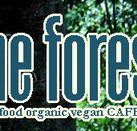 Forest Cafe  Bar - Accommodation Gold Coast