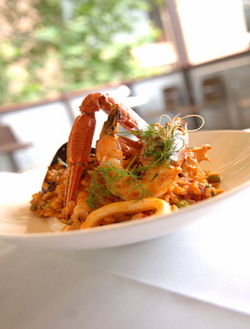 Amoroma Ristorante - 1 Gold Coast 0