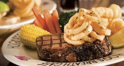 Hogs Breath Cafe - Accommodation Gold Coast 1