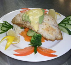 Centenary Tavern - Accommodation Gold Coast 1