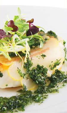 Half Moon Brighton - Accommodation Gold Coast 1