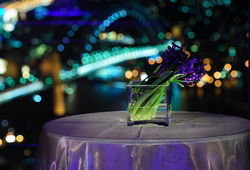 Summit - Orbit Lounge Bar - Gold Coast 4U 3