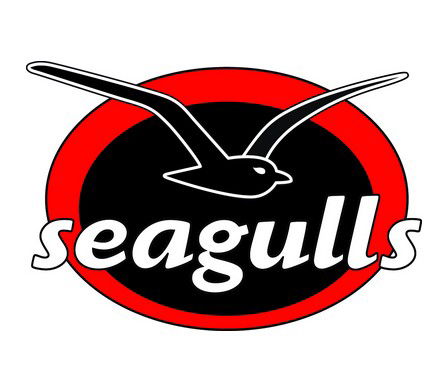 Seagulls Club - 1 Gold Coast 0