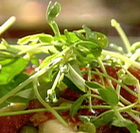 Wild Hearts Cafe Restaurant - Accommodation Gold Coast