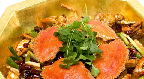 Red Chilli Sichuan Restaurant - Accommodation Gold Coast 1