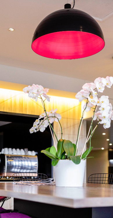 MRepublic Restaurant, Bar And Lounge - Accommodation Gold Coast 4