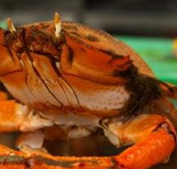 River Cottage Restaurant - Accommodation Gold Coast