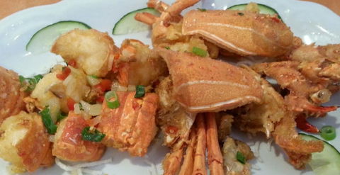 Tasty Magic Chinese Restaurant - Accommodation Gold Coast 0