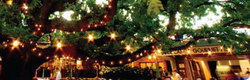 Neutral Bay NSW Accommodation Gold Coast