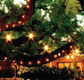The Oaks - Accommodation Gold Coast