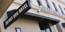 Skinny Dog Hotel - Accommodation Gold Coast 0
