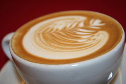  Accommodation Gold Coast