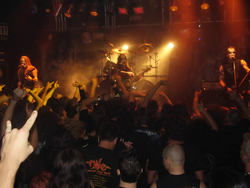 Black Betty's - Gold Coast 4U 1