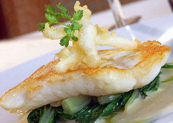 Metropolitan Hotel - Accommodation Gold Coast 1