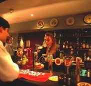 Criterion Hotel - Oak  Ivy Cellar Bar - Accommodation Gold Coast