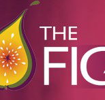 Wild Fig - Accommodation Gold Coast